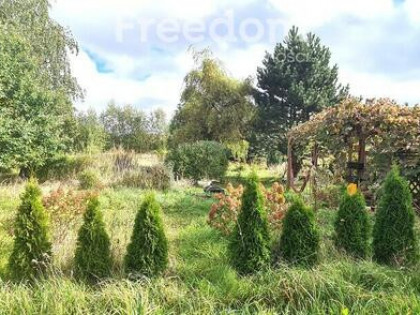 Działka budowlana z mediami