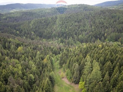 Działka rolna w Krzeszowie