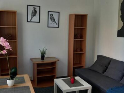 Mieszkanie do wynajęcia - (bez opłaty za czynsz)