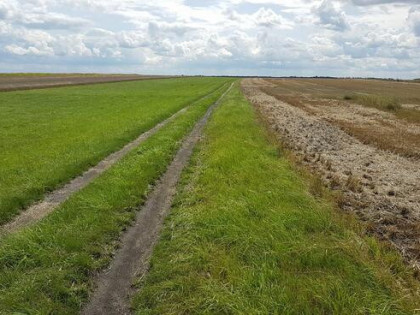 Sprzedam Działka Rolna Gliwice Ostropa Południe