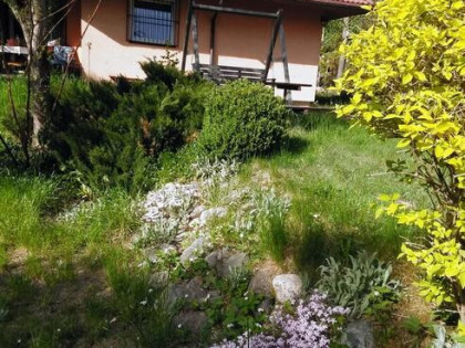 Klimatyczny dom całoroczny z wyposarzeniem.