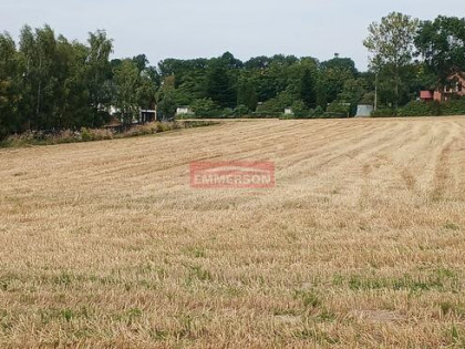 Widokowa, budowlana 1200 m2- Minoga ( gm. Skała)