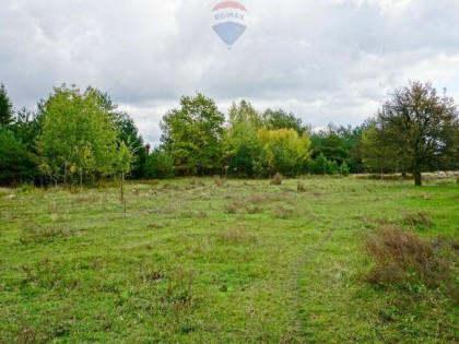 Działka 2500m2 pod usługi, Radziejowice Parcel