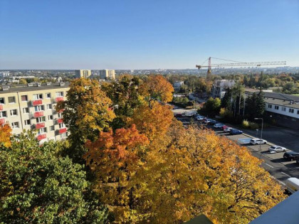 Kawalerka Pod Lipami Winogrady