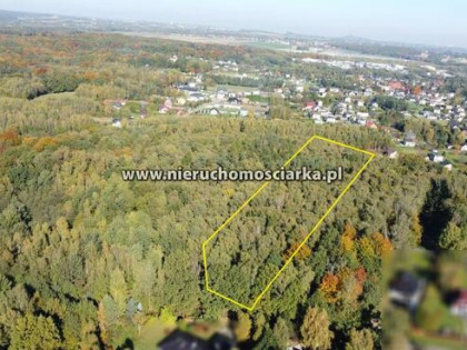 Działka leśna Czyżowice gm. Gorzyce
