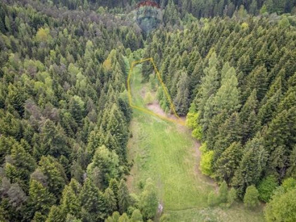 Działka rolna w Krzeszowie