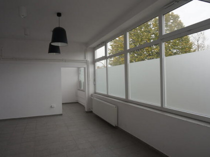 Lokal handlowo-usługowe pasaż Górczyn