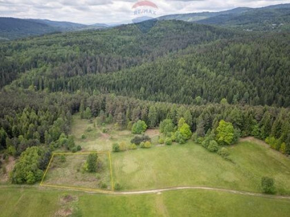 Widokowa działka na stoku wzgórza Gronik