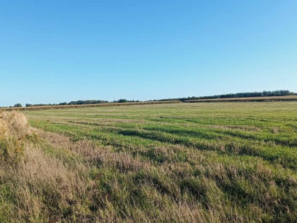 Działka budowlana Rudka Kozłowiecka gm. Niemce