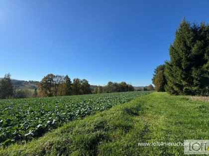 Działka budowlana Tuchów, Ryglicka