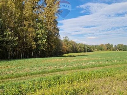 " Działka rolna i las w gratisie "