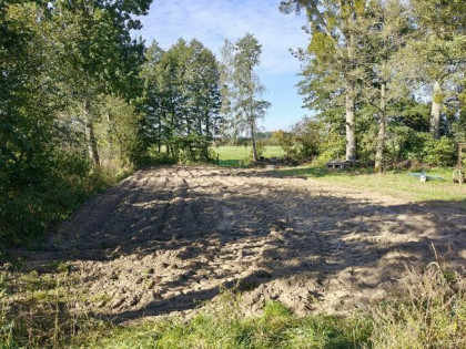 Syndyk sprzeda - Raki