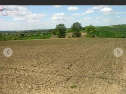 Działka rolno-budowlana