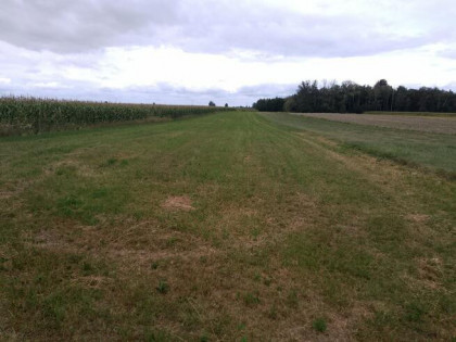 SPRZEDAM DZIAŁKE ROLNA