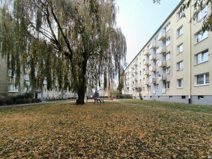 Kawalerka w dzielnicy Tysiąclecie na parterze przy Poczty Gd