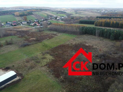 Działka 6500 m2 w Łukowej gm. Chęciny