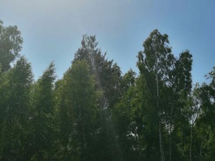 Udział w nieruchomości gruntowej niezabudowanej - Parczew