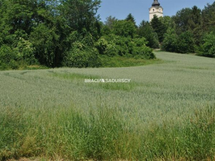 Działka inwestycyjna Brzezie gm. Kłaj