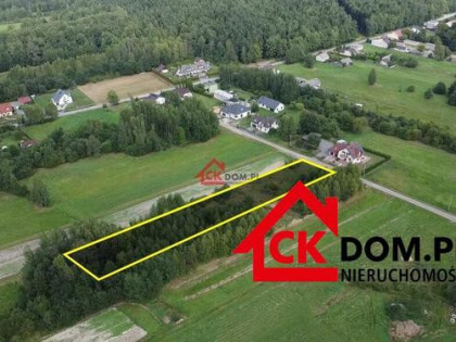 Działka Tumlin-dąbrówka