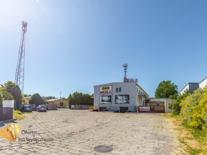 Lokal użytkowy Opole Lubelskie,