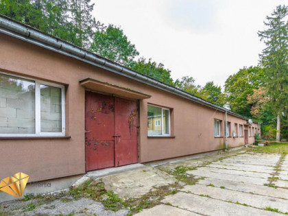 Lokal użytkowy Łęczna,