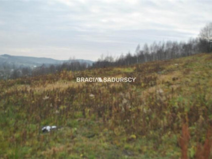 Działka rolna Głogoczów gm. Myślenice