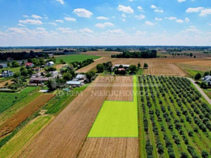 Działka budowlana Sieprawice gm. Jastków, Sieprawice