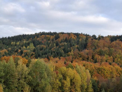 Działka Wojakowa bez pośredników – 68 arów rolno-inwest.