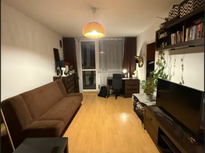 Mieszkanie na wynajem w centrum Wrocławia