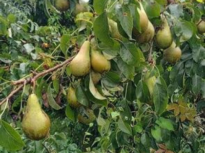 Niezwykla dzialka rod w super lokalizacji.