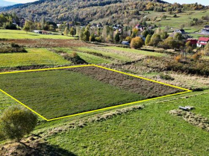 Działka budowlana Koszarawa