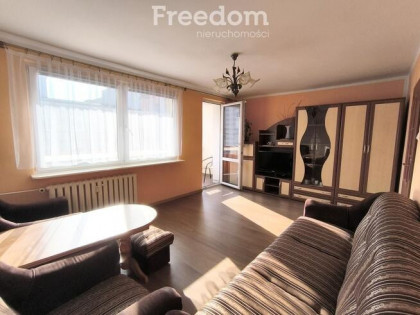 Dwa pokoje w centrum miasta