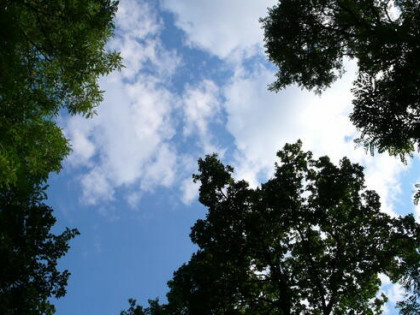 Piękna Widokowa Działka przy Leśnicy !!!