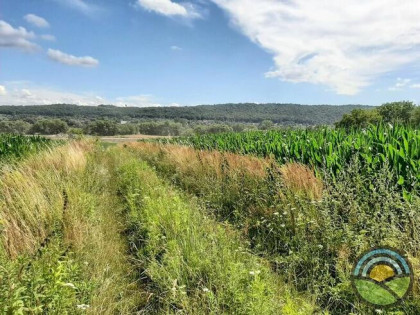 Więckowice gm. Zabierzów - działka 3200 m2