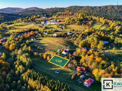 Działka budowlana Korczyna, Leśna