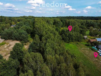 Działka 81 ar Rakszawa – przy asfaltówce, z lasem