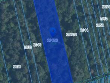 Sprzedam las mieszany Wyryki woj. Lubelskie