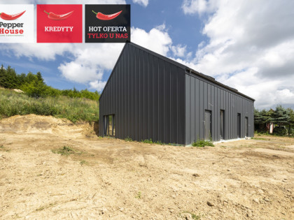 Dom Lniska ul. Pogodna