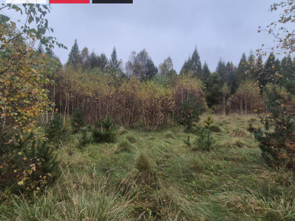 Działka Domatówko ul. Sosnowa