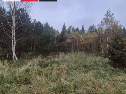 Działka Domatówko ul. Sosnowa