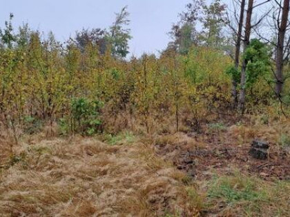 Działka budowlana Kupientyn gm. Sabnie