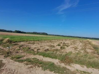 Działka rolna Rogów gm. Repki