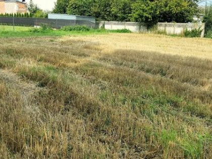 Działka rolno rekreacyjna 23ary