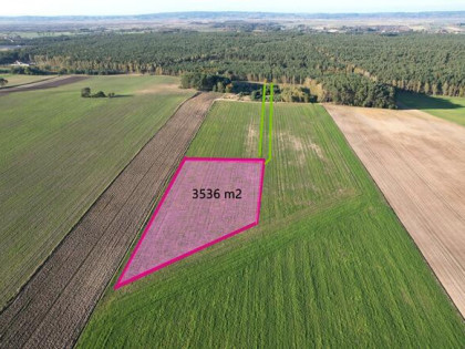 Działka rolno-budowlana Strzelczyki gm. Szamocin