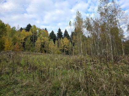 Działka rolna Strzeszyn gm. Biecz