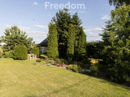 Działka inwestycyjna w Skorochowie