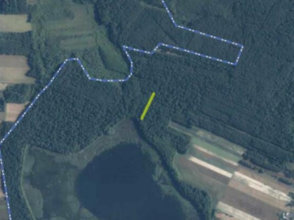 Działka leśna Stary Orzechów gm. Sosnowica