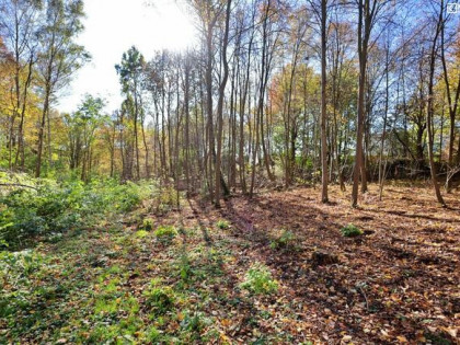 Działka budowlana Lipniak gm. Konopnica