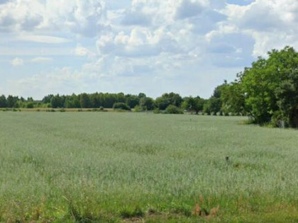 Na sprzedaż działka budowlana – Suszno, gm. Włodawa