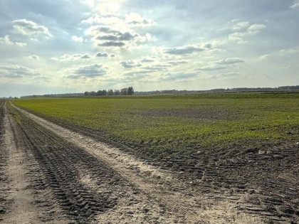 Miłków Kol, gm. Siemień – działka fotowoltaika